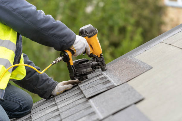 Roof Moss and Algae Removal in Centereach, NY